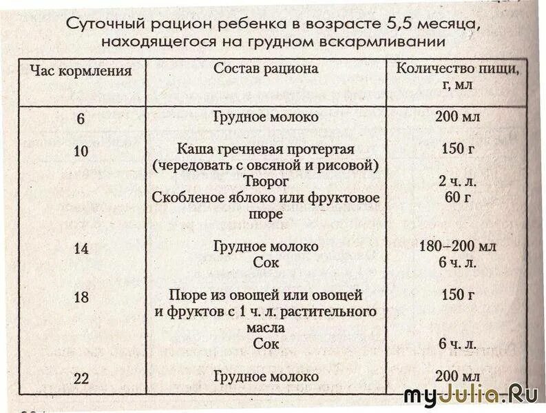 Рацион 6 месячного ребенка на грудном вскармливании ежедневно. Суточный рацион кормления ребенка 6 месяцев. Питание 7 месячного ребенка на искусственном вскармливании меню. Питание 8 месячного ребенка на грудном вскармливании меню.