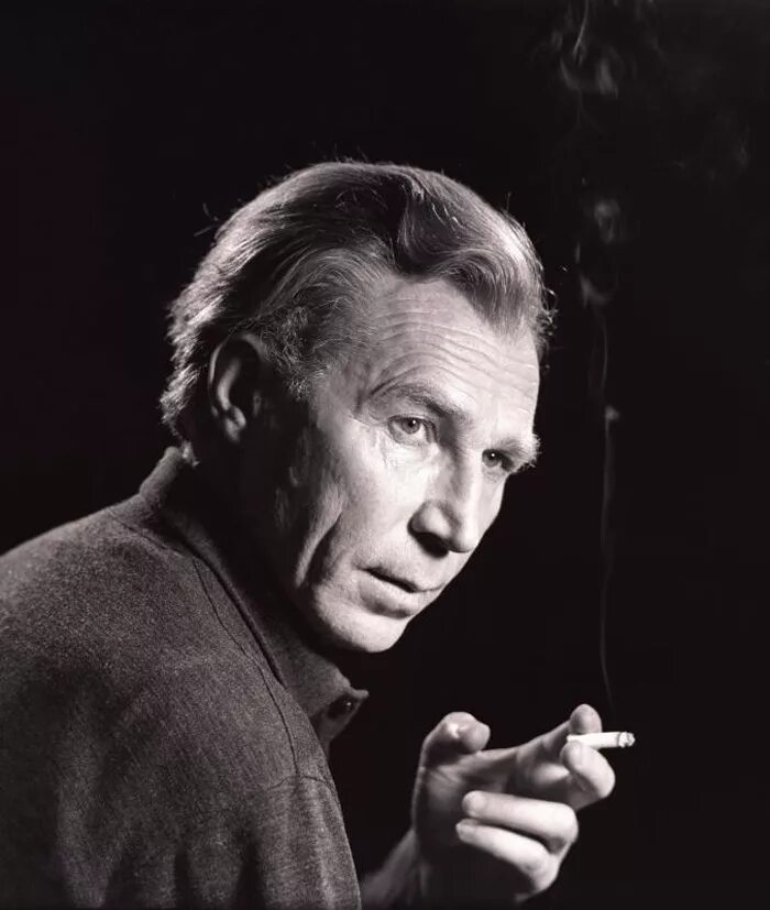 Киноактер иван лапиков. Актер лапиков биография. Артист иван лапиков. Иван герасимович лапиков. Иван герасимович лапиков.