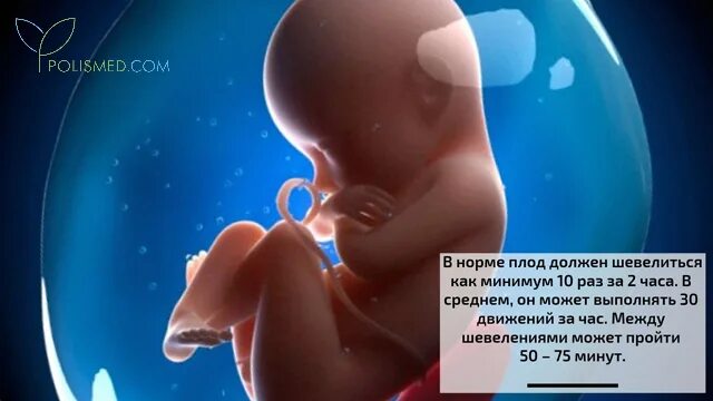 20 недель пинается. Шевеление плода. Беременность шевеление плода. Ребёнок шевелится в животе. Шевеление младенца беременной.