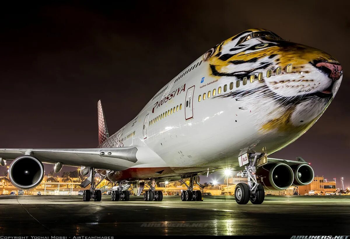 Jumbo jet. Боинг 747 Тигролет. Двухэтажный самолет Боинг 747. Тигр на самолете Боинг 747. Авиакомпания Россия Боинг 747 тигр.