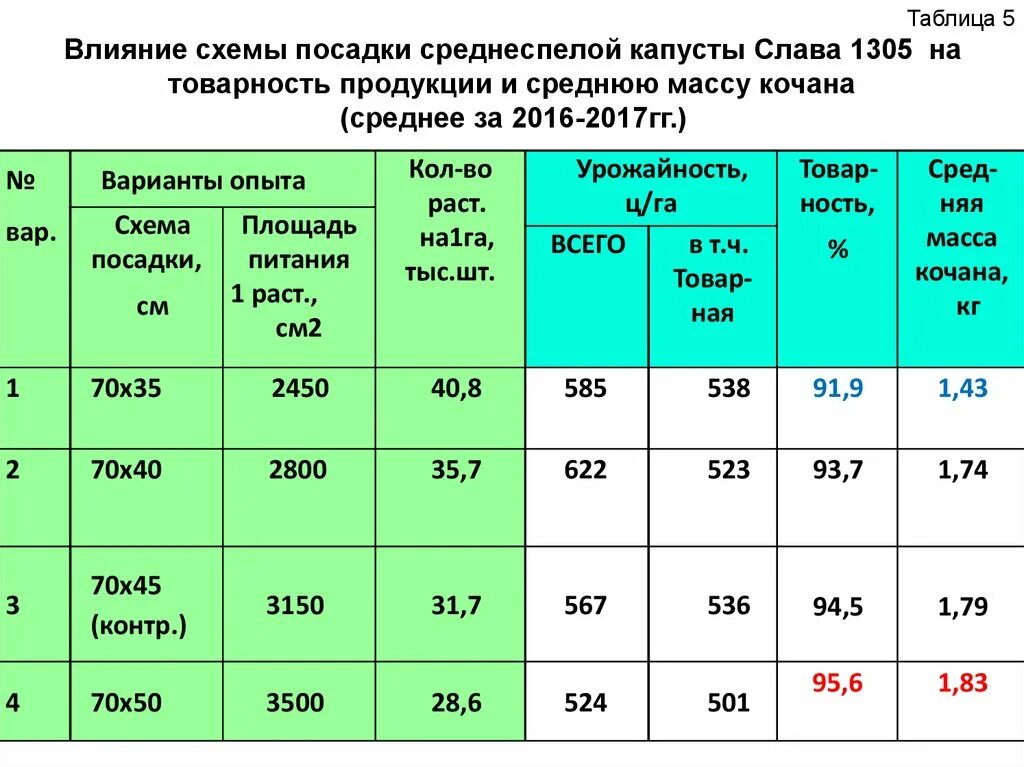 Урожайность клевера. Технологическая карта возделывания капусты таблица. Технология возделывания капусты. Выращивание капусты схема. Технологическая карта возделывания капусты белокочанной.