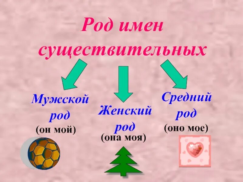 Имя существительное бывает 3 родов. Имени существительного мужского рода, женского рода, среднего рода.. Мужской средний женский род имен существительных 2 класс. Род имёнисещиствительных. Родж имён существительных.