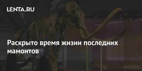 Раскрывший время