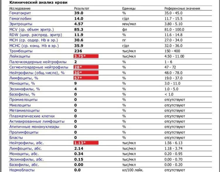 Анализы лейкоциты понижены. Норма эозинофилов у детей 3 года в крови. Норма лимфоцитов в крови 16 лет. Анализ крови расшифровка лейкоциты нейтрофилы. Расшифровка анализа крови повышенные лейкоциты.
