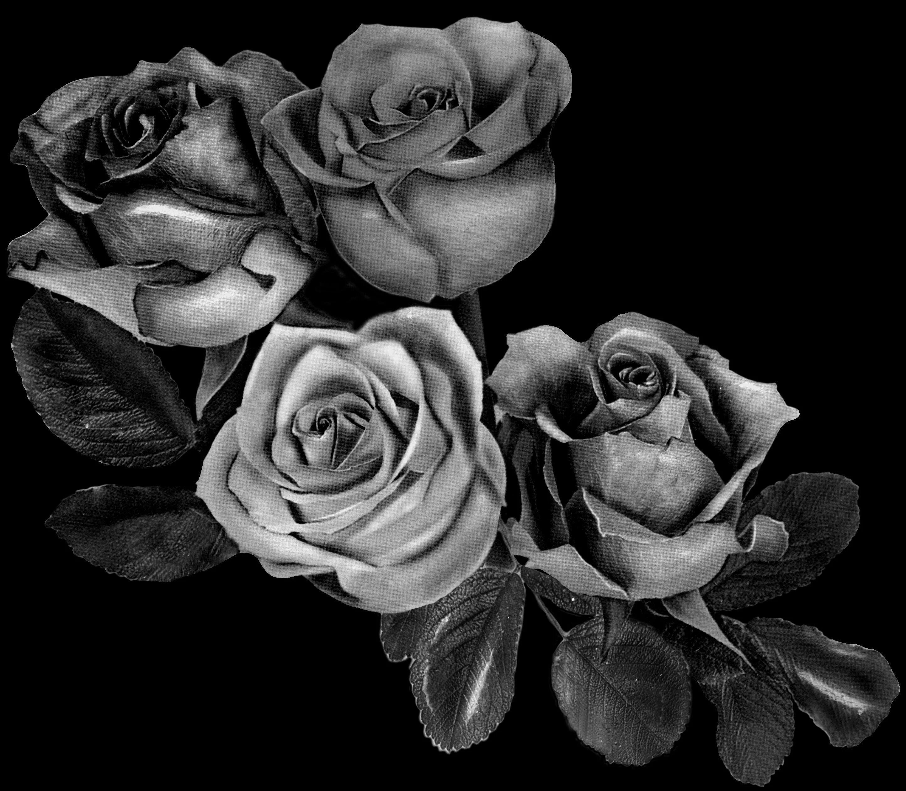 Цветы на памятник. Розы на граните гравировка. Розы для гравировки на памятниках. Цветы для гравировки на граните. Цветы для гравировки.