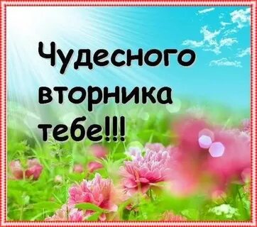 Доброго вторника любимый