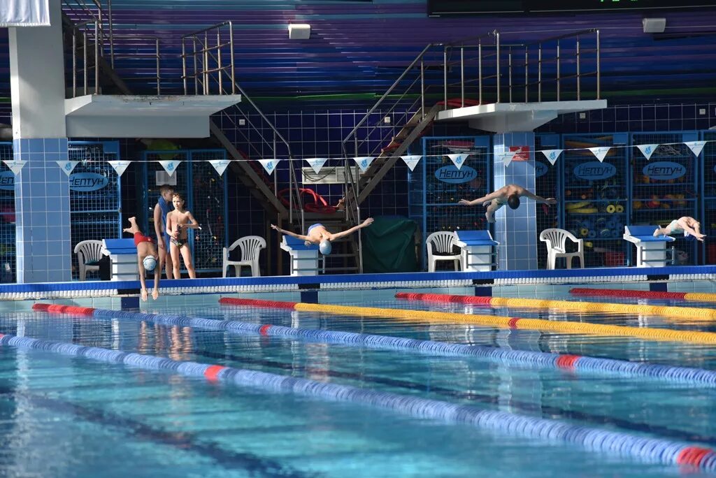 бассейн дельфин город чита. бассейн сибво чита. бассейн нептун хабаровск. бассейн в горном. бассейн нептун тюмень.