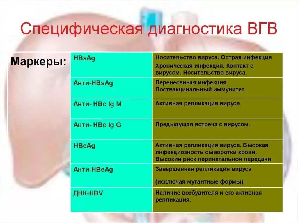 Маркер инфекции. Специфические маркеры вгв. специфическая диагностика вгв. специфические методы диагностики вгв. маркеры вирусного гепатита б.
