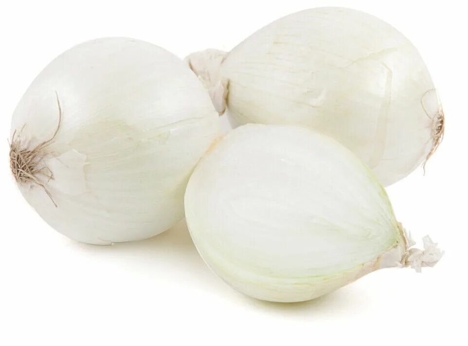 лук белый орел описание сорта. лук белый орел описание сорта. лук чернушка севок, репчатый. лук белый орел описание сорта. лук севок стардаст белый.