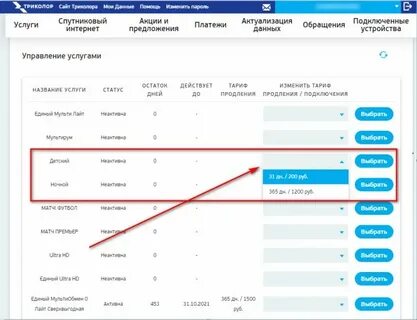 Пакет единый на 2023 год