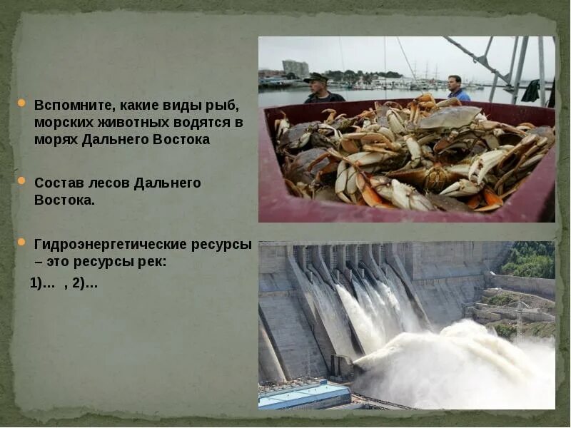 Рыбные ресурсы восточной сибири. Дефицит биологических ресурсов моря на Дальнем востоке. Морские ресурсы дальнего Востока. Ресурсы морей дальнего Востока. Биологические ресурсы дальнего Востока.