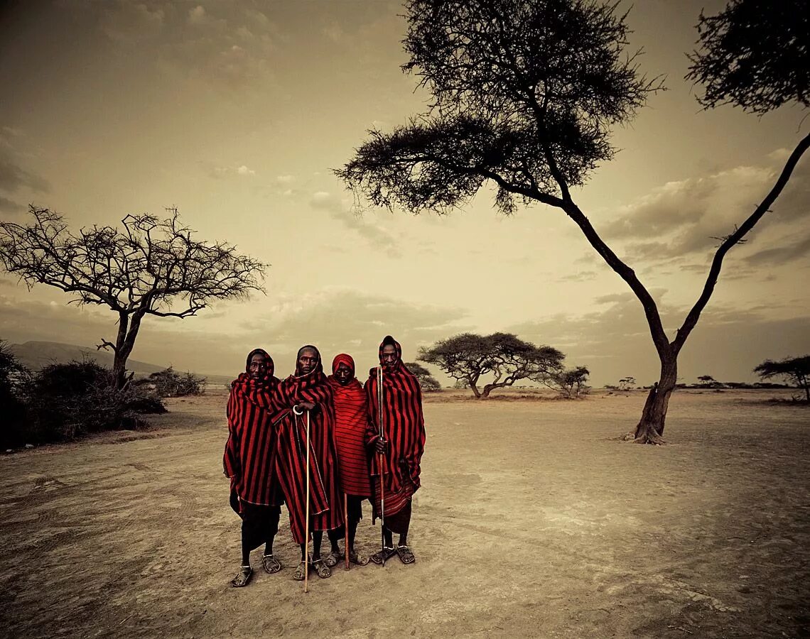 Племя. Племя Масаи в Танзании. Масаи многоженцы. Африка Масаи. Масаи Восточной Африки.