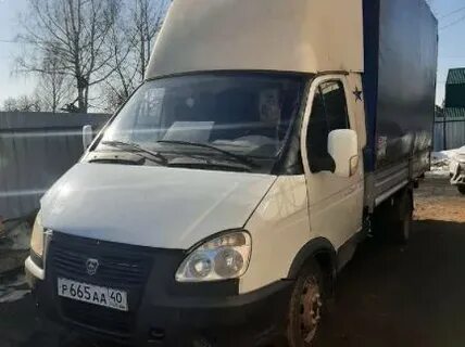 Газель калуга область