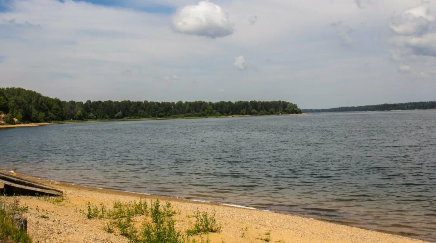 Пляж песчаный берег истра. Пляж лопотово истринское водохранилище. Пятница истринское водохранилище. Пляж песчаный берег истра. Пляж песчаный берег истра.