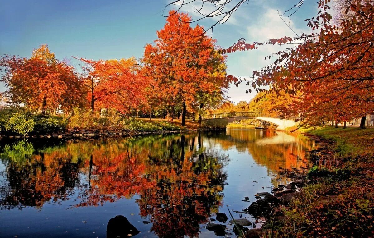 Осень фото красивые. Природа осень. Природа осенью. Красивая природа осенью. Самая красивая осень.
