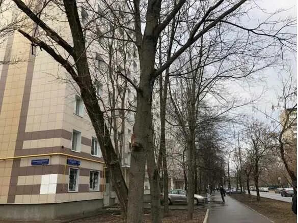 Москва улица зои и александры космодемьянских. Ул космодемьянских 3 2. Ул космодемьянских 3 2. Ул космодемьянских 3 2. Ул космодемьянских 3 2.