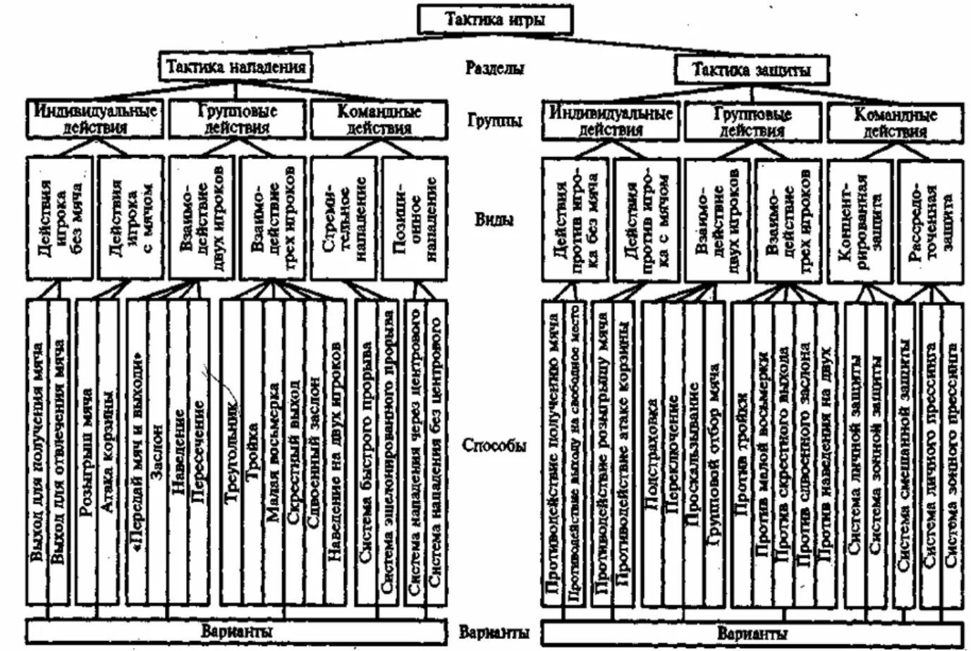 Тактические действия в нападении. Классификация тактических действий игры в баскетбол. Классификация тактики защиты в баскетболе. Схема классификации тактики игры в баскетбол. Классификация тактических действий в баскетболе.