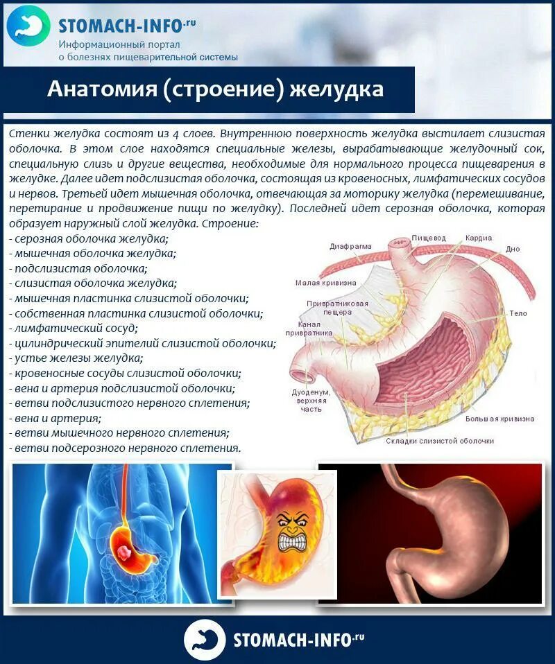 Антибиотики воздействие на ЖКТ. Болит желудок от антибиотиков. Болит желудок после антибиотиков. Восстановление слизистой желудка и кишечника