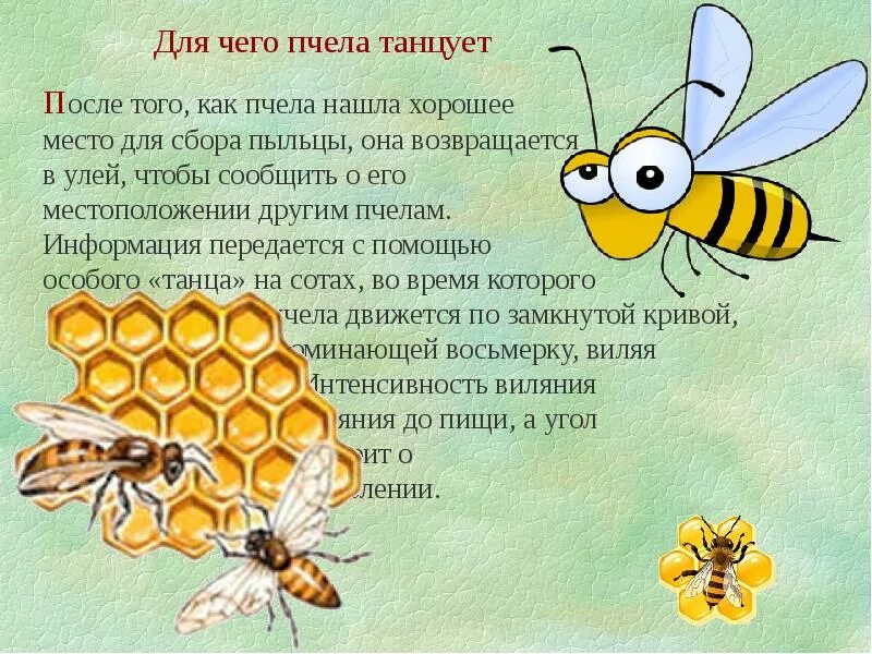 Интересный рассказ о классе