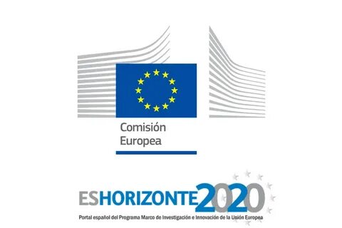 Article 29