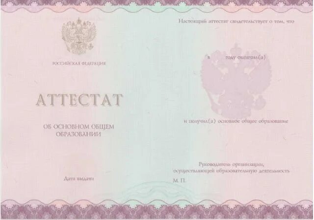Как выглядит аттестат за 9 внутри 2024 Shtampik.com