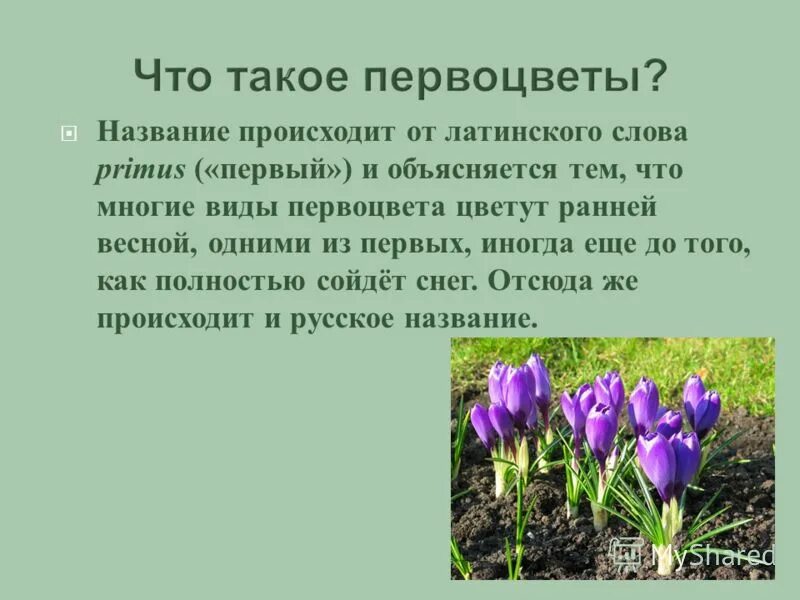 миля в верстах. антагонисты гестагенов. гиповитаминоз витамина а. черты фарса. презентация фарс.