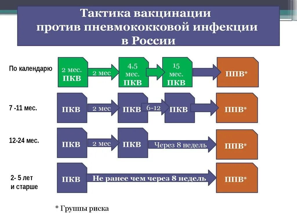 Схема вакцинации против пневмококковой инфекции. Пневмококк график вакцинации. Прививки против пневмококковой инфекции схема. Вакцинация против пневмококковой инфекции детям схема. Пневмококк сколько прививок