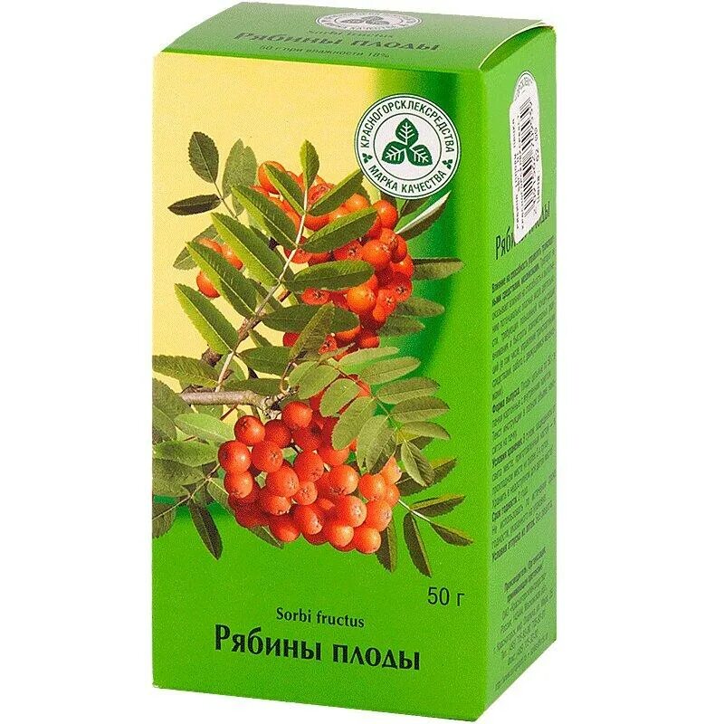 Рябина вефед. Плоды рябины обыкновенной. Рябина обыкновенная. Рябина (sorbus). Плоды рябины обыкновенной.