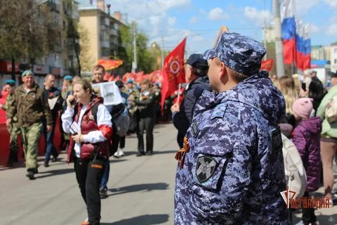 Орел новости последнего часа