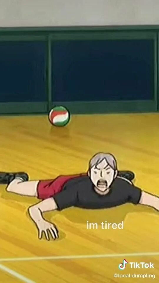 Львы про волейбол. Лев хайба. лев волейбол. лев из волейбола.