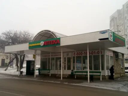 Белая ромашка пятигорск