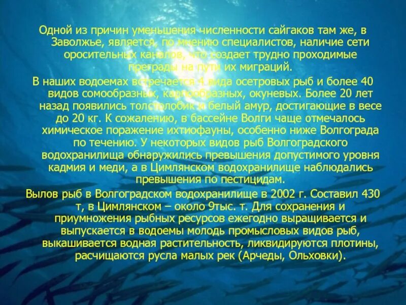 В Волгоградской области на улучшение экологии направят 2,7 млрд рублей