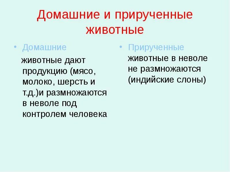 Чем различаются приручение и одомашнивание животных. Происхождение домашних животных. Чем различаются технологии приручения и одомашнивания. Хронология одомашнивания животных.