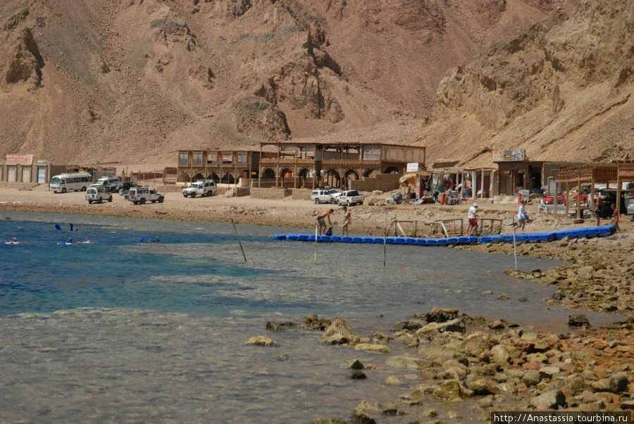 Dahab pro