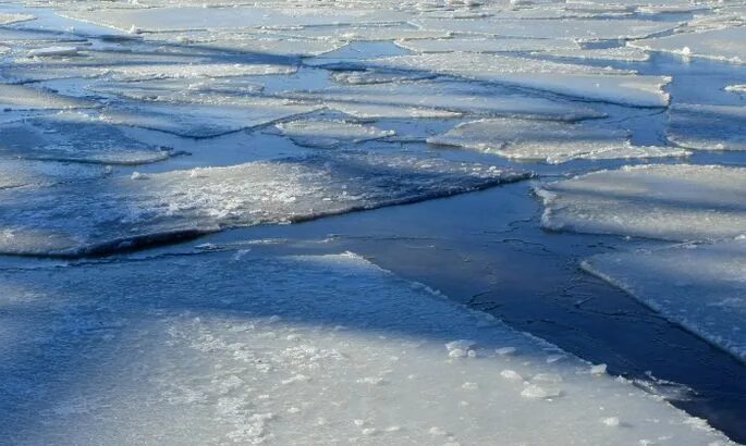 Вода покрылась коркой льда. Лед на реке. Замерзшая река. Лед на реке для детей. Озеро покрытое льдом.