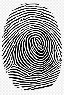 C fingerprint