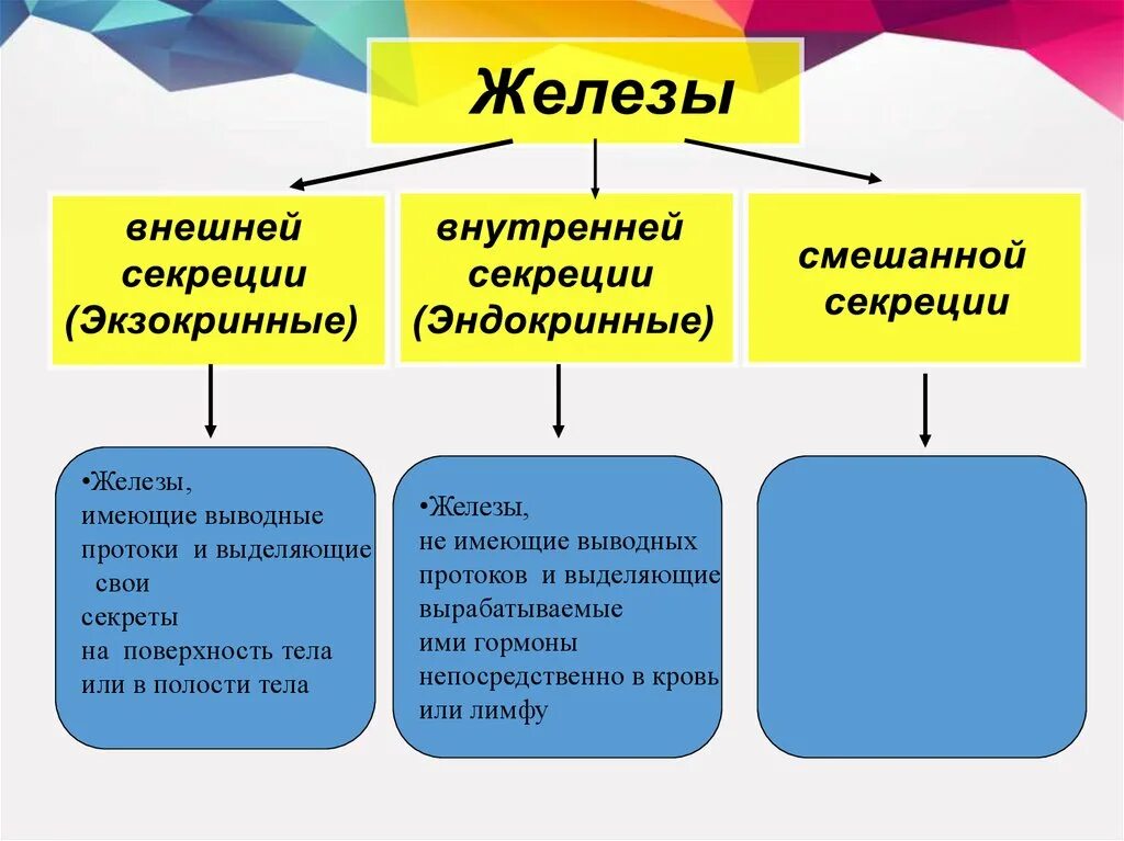 Железы внутренней секреции внешней и смешанной секреции. Железы внутренней внешней и смешанной секреции таблица. Железы внешней внутренней и смешанной секреции. Железы внутренней смешанное секреции.