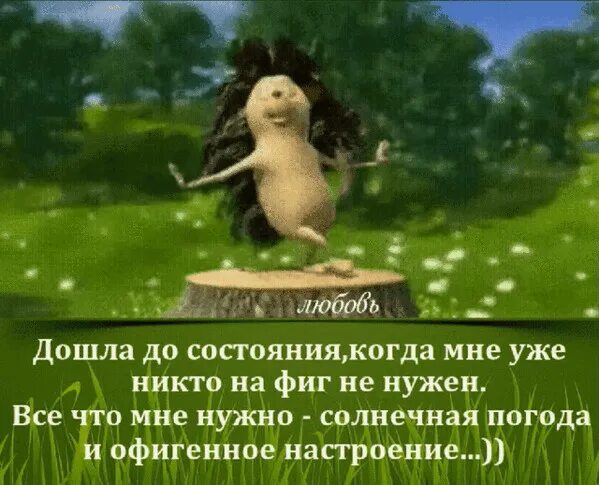 Танцующий ежик видео. Ежик танцует. ёжик танцует на пеньке бамболейло.
