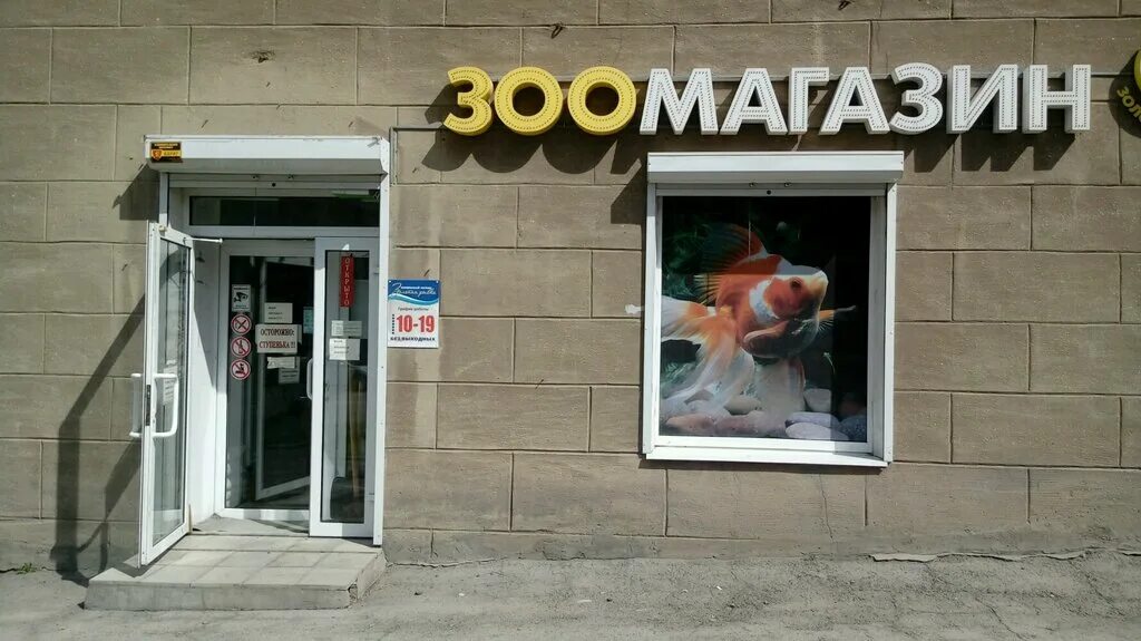 Зоомагазины в магнитогорске с рыбками. Золотая рыбка магнитогорск завтра работает ленина 1. Золотая рыбка магнитогорск. Золотая рыбка магнитогорск. Магазин золотая рыбка магнитогорск.