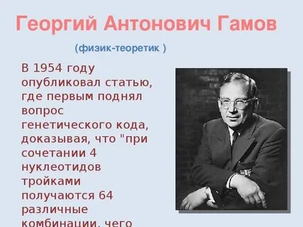 Гамов это