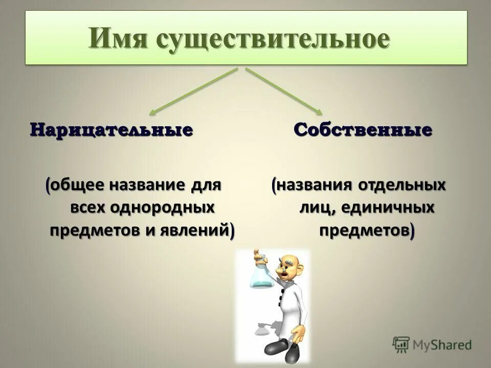 Нарицательные имена предметов. Название единичных предметов. Имя собственное предмет. Собственные имена в качестве наименований единичных предметов. Нарицательные имена существительные называют