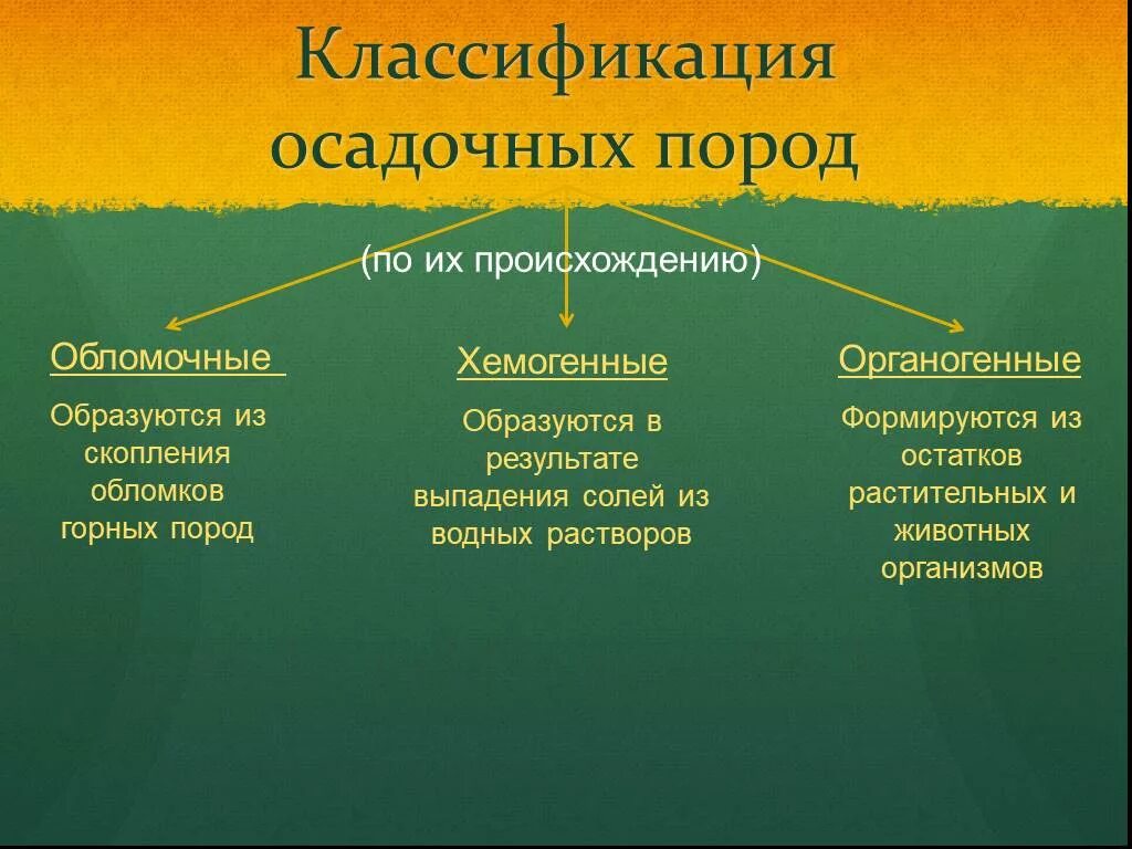 Какая структура сформировалась раньше остальных