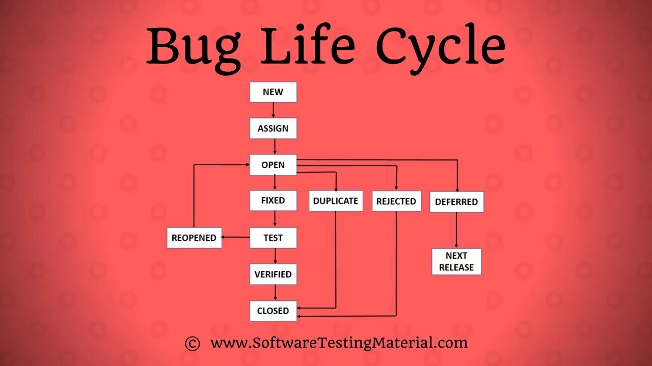 What is a bug. Bug life cycle. defect life cycle. bug в тестировании. баг.