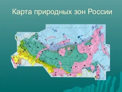 Занны или заны