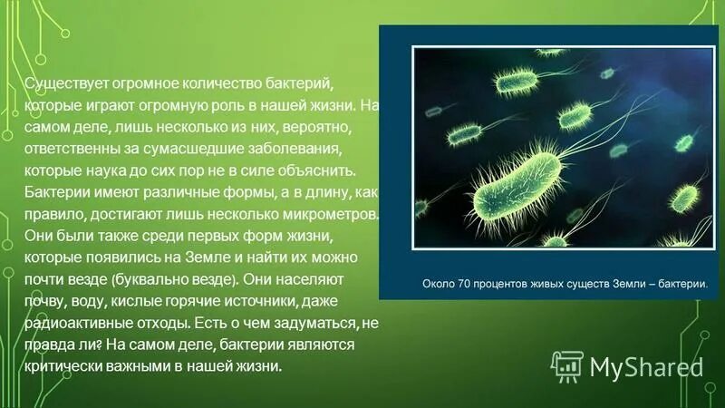 Note 13 cell. Bacteria число. Definition of microorganisms. Бактерин это микроорганизмы. Bacteria число.