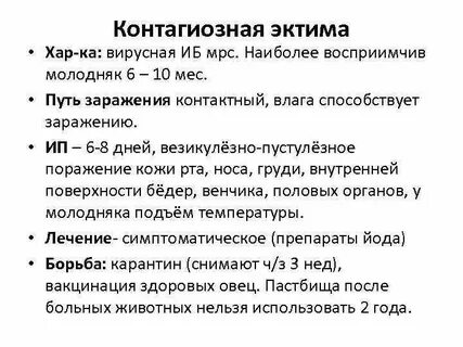 Эктима фото