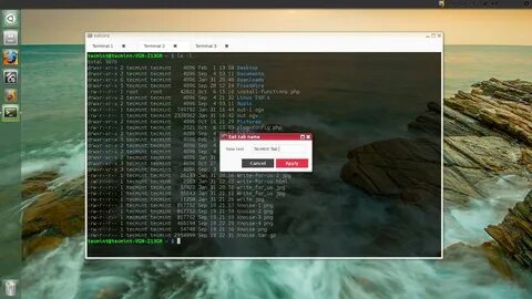 Программа терминала linux
