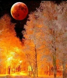 Осенью ночи длинные а дни короткие