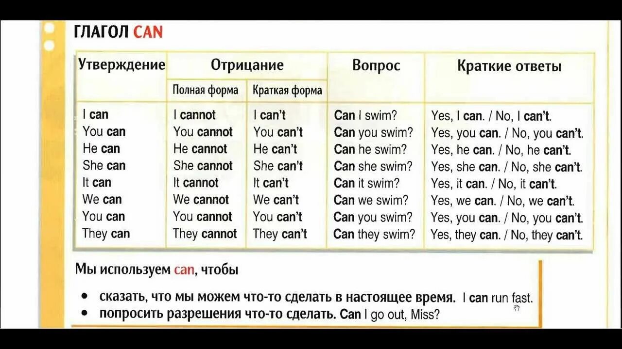 Cannot rule. Спряжение глагола can в английском языке. Глагол Кен в английском языке. Глагол can в английском языке 2 класс правило. Глагол can в английском языке таблица.