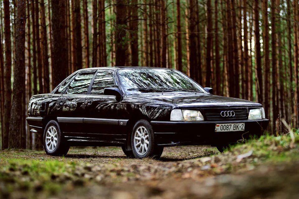 Ауди 100 с3. Audi 100 c3. Audi 100 черная. Audi 100 III (c3).